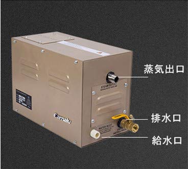 Amazon | CGOLDENWALL 4.5KW蒸気サウナ業務用 スチームバス家庭用