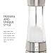 COLE & MASON Derwent Salt Grinder - Stainless Steel Mill Includes Gourmet Precision Mechanism and Premium Sea Salt
