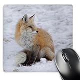 3dRose LLC 8 x 8 x 0.25 Inches Mouse Pad, Washington Mt Rainier Np Cascade Fox Jamie and Judy Wild (mp_96419_1)