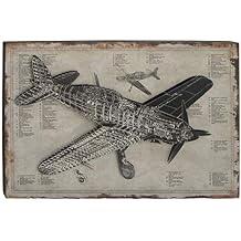 Deco 79 Wood Airplane Wall Decor, 47" x 3" x 31", White