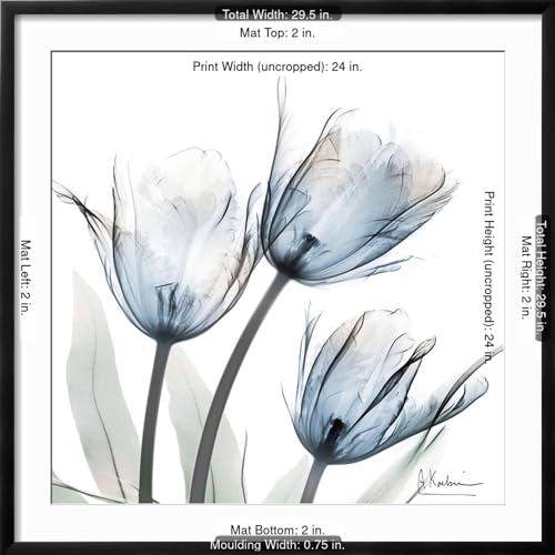 ART.COM Wall Art Print Glacier Tulips 1 on Black Frame by Albert Koetsier, 29" x 29" by ART.COM - Used condition - Image 5