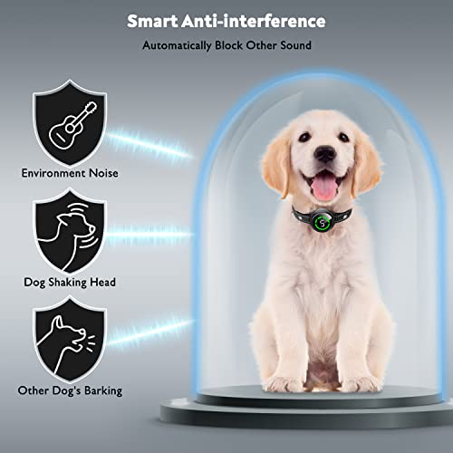 Bark Collar For Large Dog & Medium Dogs, Birkhey Dog Bark Collar, Rechargeable Automatic Bark Shock Collar, Anti Barking Collar With Beep Vibrating Shock, 5 Sensitivity For Barking Control & Training #TOP5