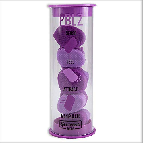 On Trend Goods PBLZ Set of 10 Magnetic Rocks (Purple)