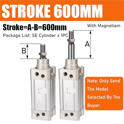 Cylindre pneumatique standard SE piston course 600mm double effet - 3