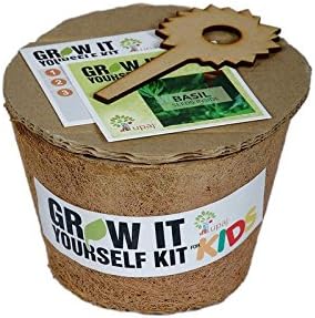 Upaj Grow It Yourself Veg Large Italian Basil Kit (Pack Of 1)