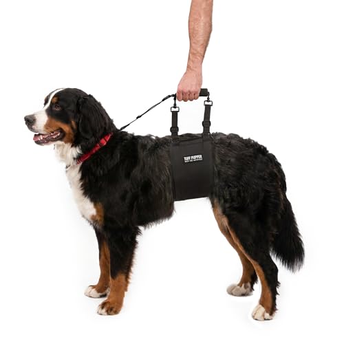 Tuff Pupper Dog Sling Hip Harness | Rear Lift Support for Senior & Injured Dogs | Adjustable Mobility Aid | Strong Padded Handle | Comfortable Design | Hip & Hind Leg Assistance (Tall, Female)
