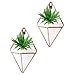 Trigg Hanging Planter Vase & Geometric Wall Planter/Pot Hanging Decor Container - Great for Succulent Plants, Air Plant, Mini Cactus, Faux Plants and More, White and Rose Gold (Set of 2)