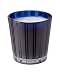 NEST Fragrances 3 Wick Candle- Blue Garden, 21.2 oz