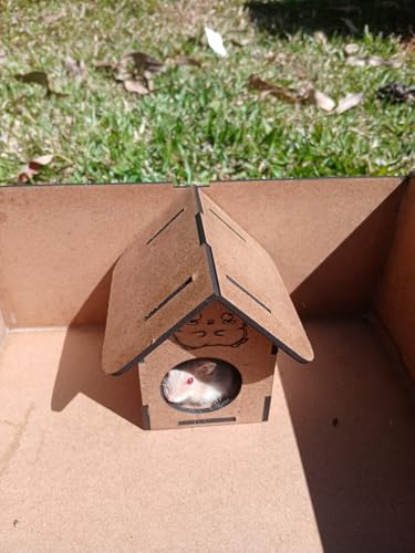 Casinha Para Hamster Porquinho Da Índia Rato Twister
