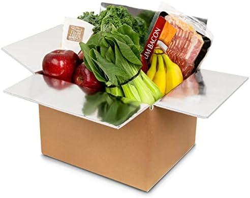 Live 2day Nice Packs-Insulated Shipping Box-Reusable Cooler Box With Insulation for Frozen Food- Aluminum Moving Box-Frozen Food Cold Box-Dry Cooler Boxes (14" x 12" x 10" - Pack of 10)
