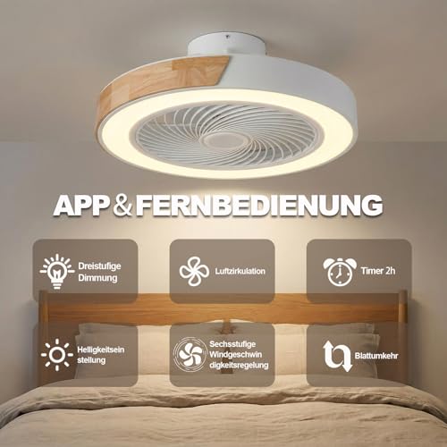 DATO Ventilateur de plafond avec éclairage, 3 températures de couleur et 6 vitesses, ventilateur de plafond LED avec lampe, silencieux et à intensité variable (B) – vue 2
