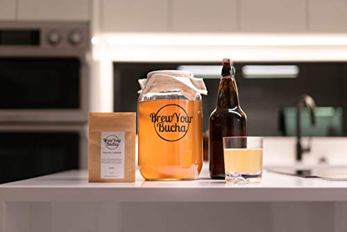 Brew Your Bucha Kombucha Homebrew 1 Gallon Starter Kit With Premium Scoby Culture (1 Gallon Supreme) #TOP7