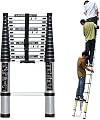 Folding Ladder Ladders,Heavy Duty Telesladder Collapsible Tall, Roof Climb Telescoping Ladder, Portable Retractable/Extension Ladder for Rv Boat Dock Camping Home, Load 300Lbs (Color : 2m/6.5ft)