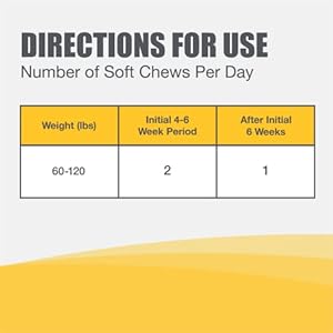 Nutramax Laboratories Dasuquin with MSM Joint Health Supplement for Large Dogs – With Glucosamine, MSM, Chondroitin, ASU, Boswellia Serrata Extract, and Green Tea Extract, 150 Soft Chews