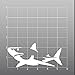 Great White Shark Vinyl Decal Sticker | Cars Trucks Vans Walls Laptops Cups | White | 6 inches | KCD1032
