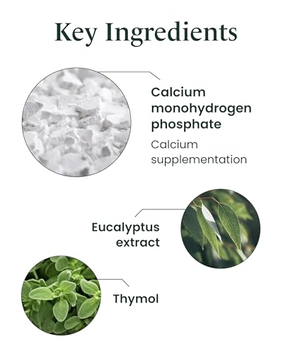 EUTHYMOL-Original-Toothpaste-Travel-Set-14fl-oz-Pack-of-3-Stocking-Stuffers-Fluoride-Free-Toothpaste-for-Sensitive-Teeth-Gum-Bad-Breath-Cavity-Prevention-12-Hour-Long-Lasting-Freshness