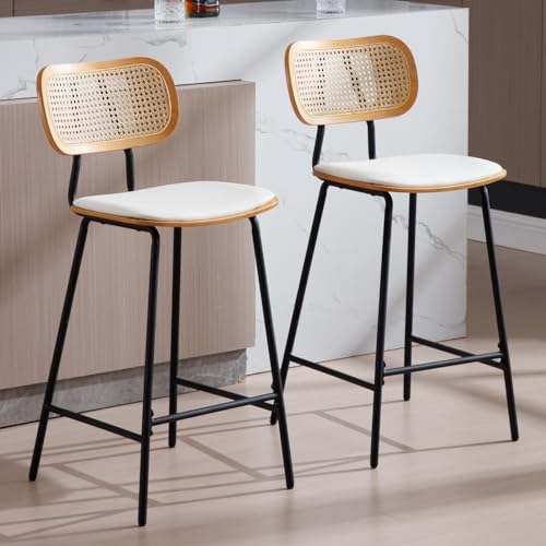 DUOMAY Modern Bar Stools Set of 2, 26