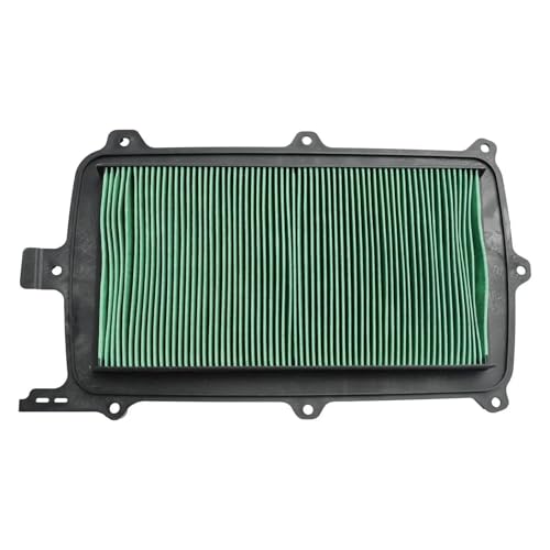 Filtre à air Talon 1000 X4 filtration maximale poussière