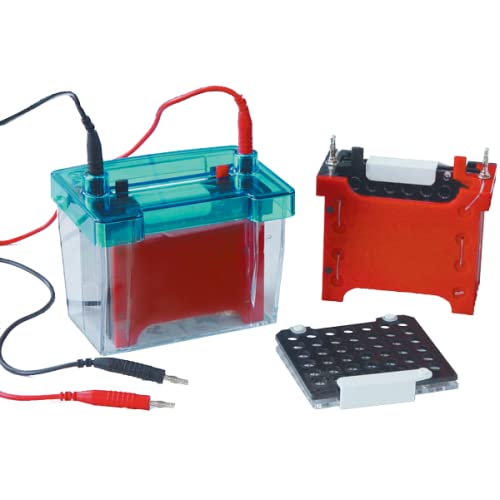 Wet/Tank Blotting System