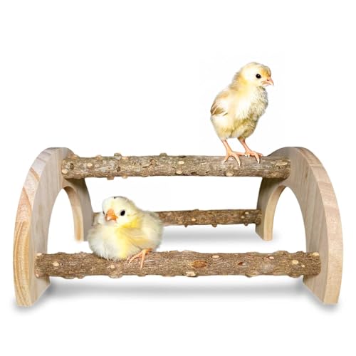 Chick Perch - Natural Wood Chick Roosting Bar for Brooder Baby Chicken Supplies 1 Pack