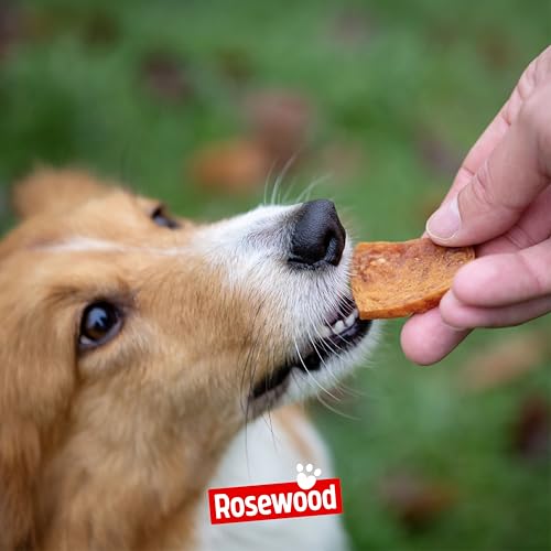 Rosewood Chicken Fillet Strips Small- Weicher Snack für kleine Hunde mit 97 Prozent Huhn, proteinreich und fettarm, ohne Getreide, ohne künstliche Zusatzstoffe, 170 g-5