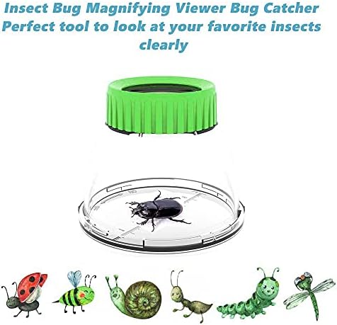 Bug Viewer for Kids with 5X Magnifier,Insect Observation Kit Built-in 7cm Ruler with 2 Slant Tweezers Blue & Red Color Bug Viewer Catcher Cage for Kids Science Nature Exploration (4Pack Green) 2 413oR4KGQ5S. AC