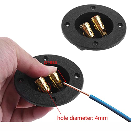 Conector push spring loaded para caja de altavoz 2 piezas miniatura 4