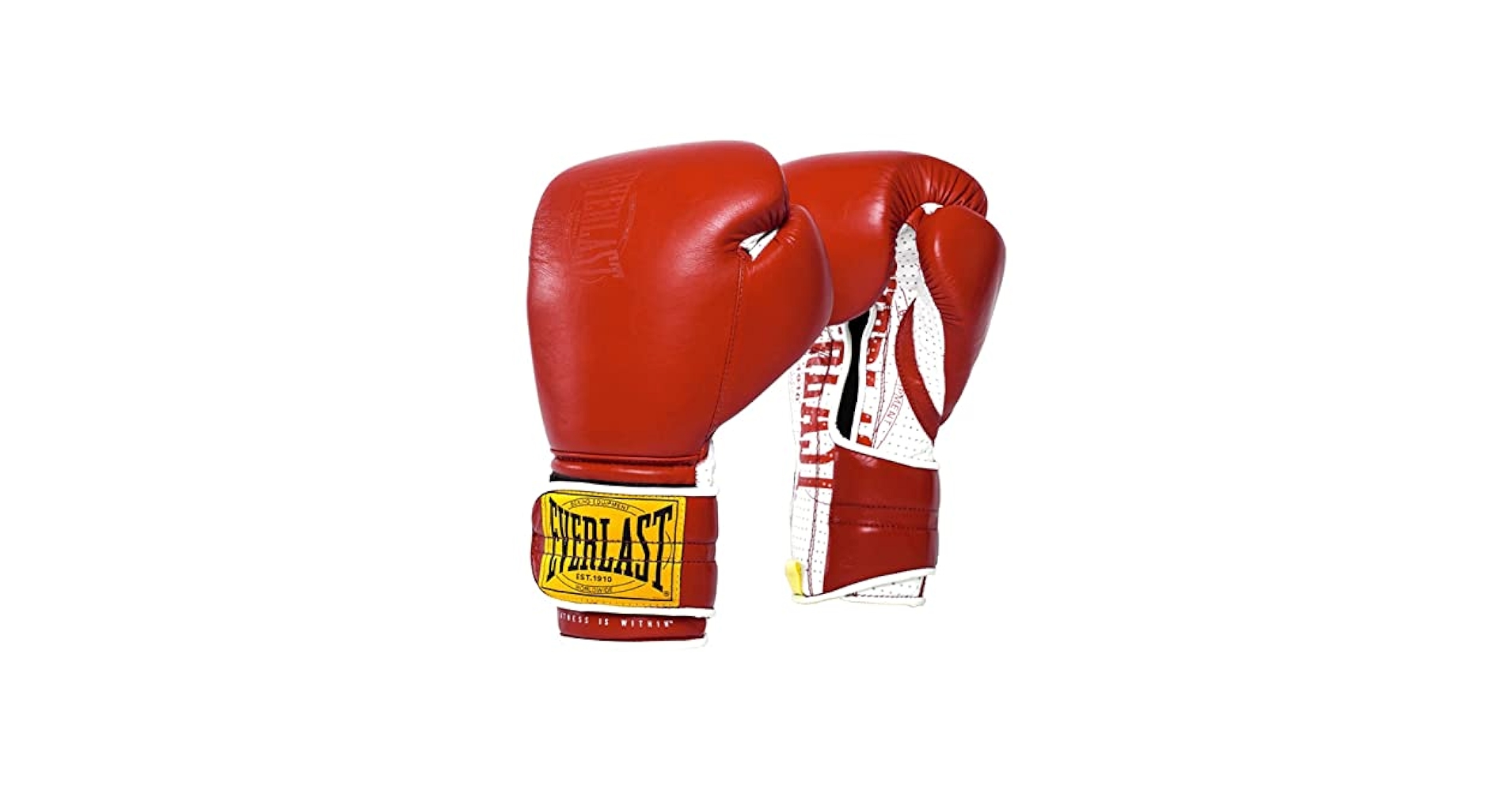 Amazon.com : Everlast P00001702 1910 Sparring Gloves (Hook