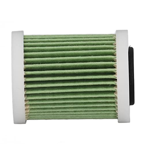 Sostituzione Filtro Carburante Fuoribordo Elemento...