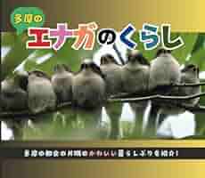 その他 enaga Amazon.com: エナガのくらし (Japanese Edition): 9798332822025