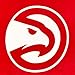 Northwest NBA Atlanta Hawks Unisex-Adult Raschel Throw Blanket, 50