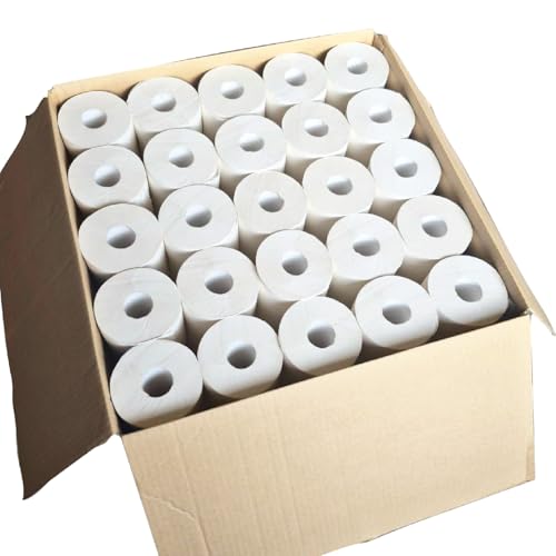 業務用トイレットペーパー100個入り [A-206001]