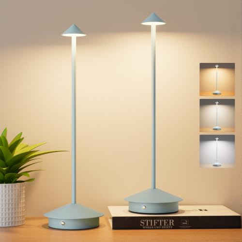 Aoceley Cordless LED Table Lamps,Portable Battery Desk Lamp,2 Pack,Blue