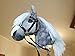 Hobby Horse A4 on Stick Realistic Grey Stick Hobby Horse with Bridle