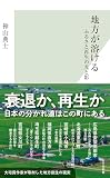 地方が溶ける ふるさと再生の光と影 (光文社新書)
