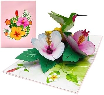 ETA 3D Hummingbird Pop-Up Card Tropical Hibiscus Flower Greeting Card for Birthday, Mothers Day, Thank You, Summer, Nature Lover, F38