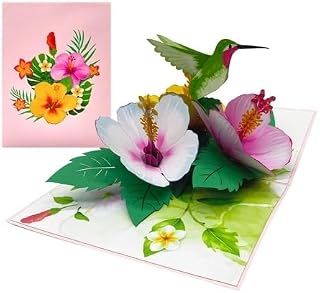 ETA 3D Hummingbird Pop-Up Card – Tropical Hibiscus Flower Greeting Card for Birthday, Mother's Day, Thank You, Summer, Nature Lover, F38