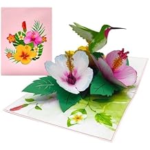 ETA 3D Hummingbird Pop-Up Card Tropical Hibiscus Flower Greeting Card for Birthday, Mothers Day, Thank You, Summer, Nature Lover, F38