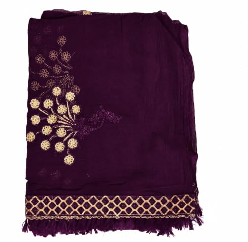 Image of YOUTHQUAKE Heavy Embroidered Work Chiffon Dupatta for Womens & Girls With Fancy Lace