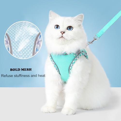 Dog Harness and Leash Set, No Pull Adjustable Reflective Pet Harness for Small Medium Dogs, Easy Walk Step in Vest Harness Outdoor Hiking Training for Extra Small Dogs, Puppy, Cats(Green, XXS) Dog Harness and Leash Set, No Pull Adjustable Reflective Pet Harness for Small Medium Dogs, Easy Walk Step in Vest Harness Outdoor Hiking Training for Extra Small Dogs, Puppy, Cats(Green, XXS)