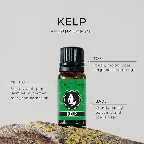 Image of Kelp - Premium Fragrance Oil - 10ml