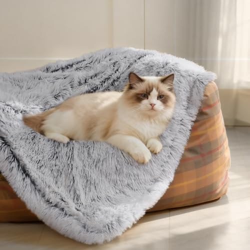 Couverture imperméable chien gris brume M Luciphia tapis de lit - 2