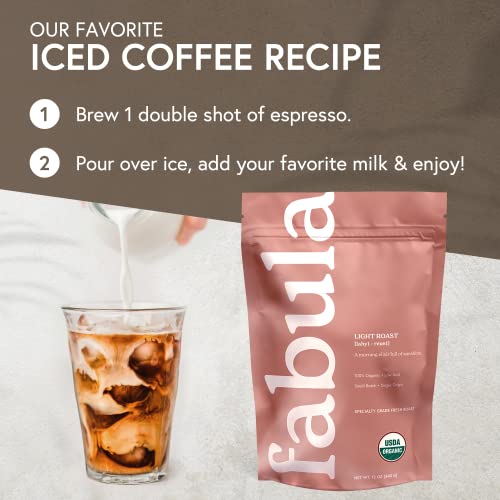 Fabula Coffee Light Roast Freshly Grounded - Organic - Low Acid - Single Origin - Non-Gmo - Mold Free - 12 Ounces #TOP5