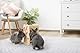 Kerbl Pet Heu- und Gemüseturm, Für Kaninchen, 2-in-1 Produkt, Einfache Befüllung, Für Innen- und Außenbereich, Robuster Stand, Natur, 24x24x30 cm