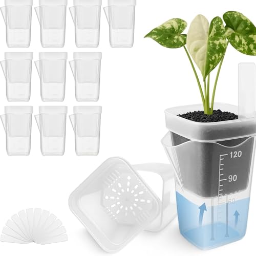 Selbstbewässerungstopf Transparent 12pcs, Mini Selbstbewässerungstopf