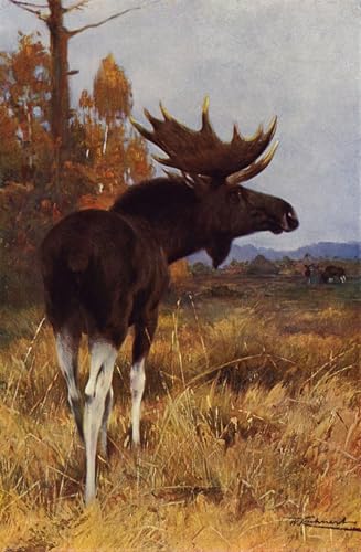 Tableaux sur toile Elk Moose Wilhelm Kuhnert ZHAOSHAN art moderne 60x90cm