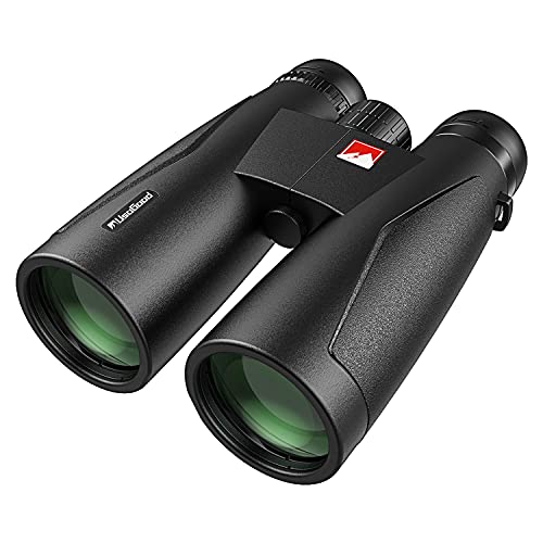 Best Binoculars Under £100 Campfire Magazine
