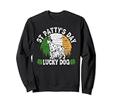 Photo Gallery cane dalmata lucky shamrock leprechaun hat st patricks day felpa Photo Gallery cane dalmata lucky shamrock leprechaun hat st patricks day felpa