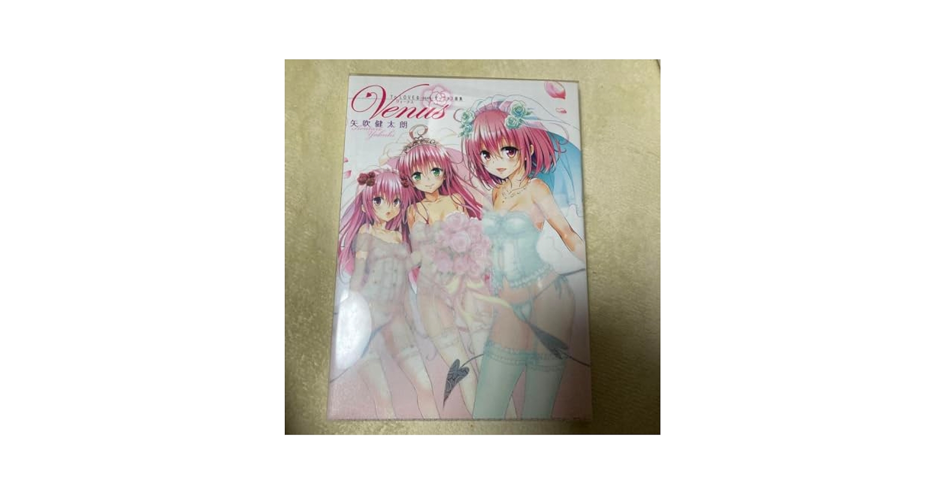 バイロス画集　ヴィーナスの苑　限定970部NO,842 バイロス画集 ヴィーナスの苑 限定970部NO,842 - メルカリ