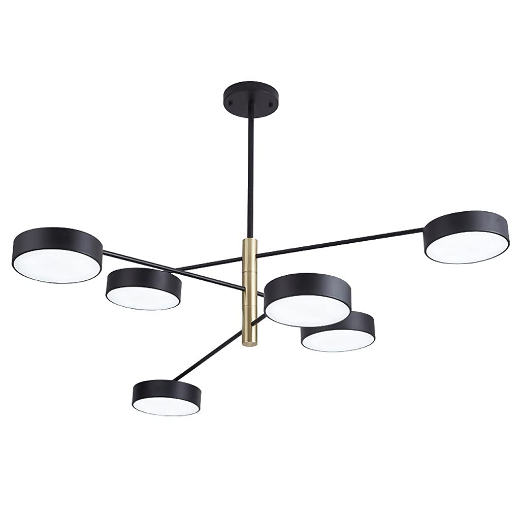 Lustre suspension branche pour salon et chambre moderne - 8